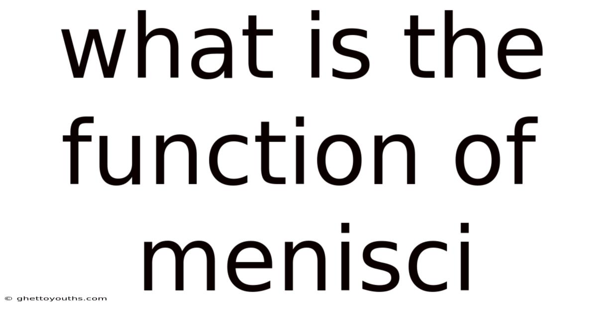 What Is The Function Of Menisci