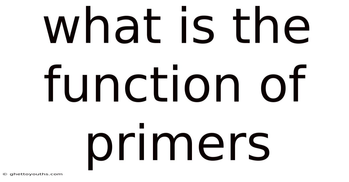 What Is The Function Of Primers