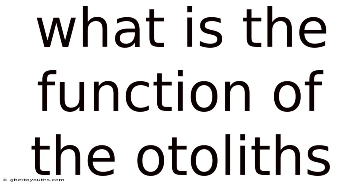 What Is The Function Of The Otoliths