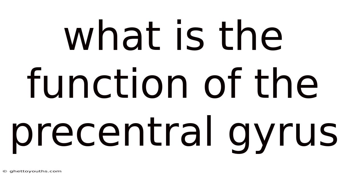 What Is The Function Of The Precentral Gyrus