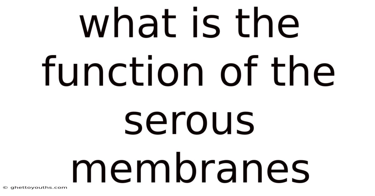 What Is The Function Of The Serous Membranes
