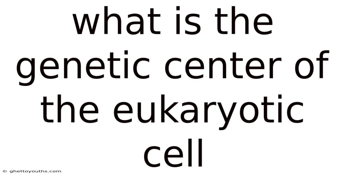 What Is The Genetic Center Of The Eukaryotic Cell