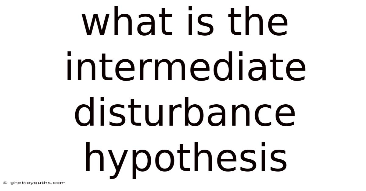 What Is The Intermediate Disturbance Hypothesis
