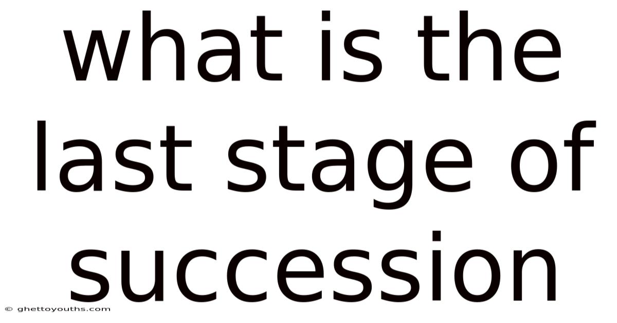 What Is The Last Stage Of Succession