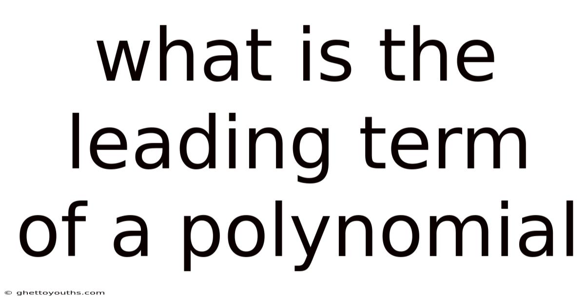 What Is The Leading Term Of A Polynomial