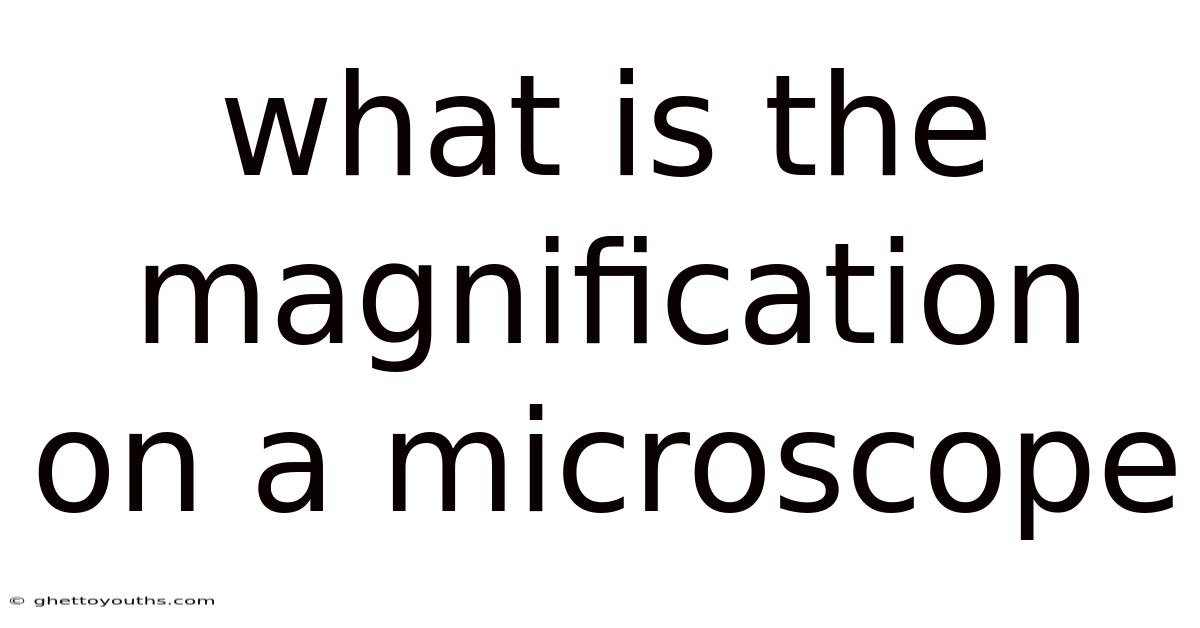 What Is The Magnification On A Microscope