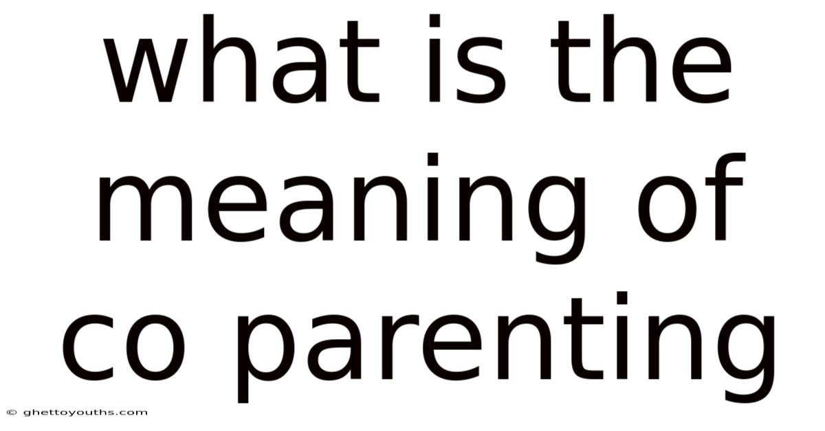 What Is The Meaning Of Co Parenting