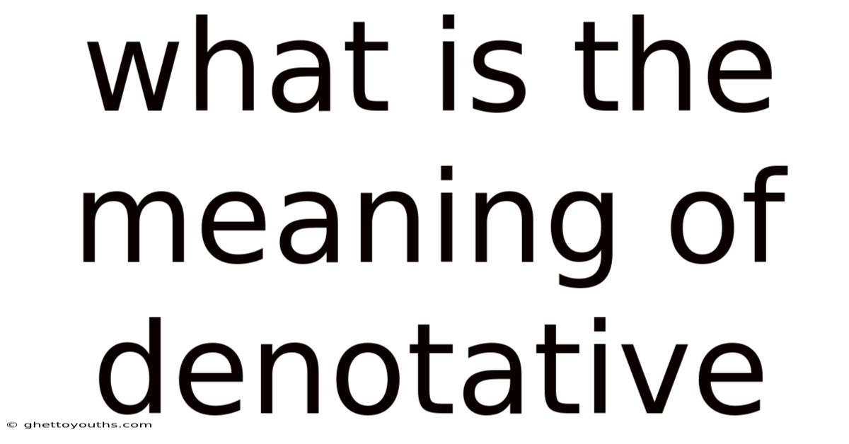 What Is The Meaning Of Denotative