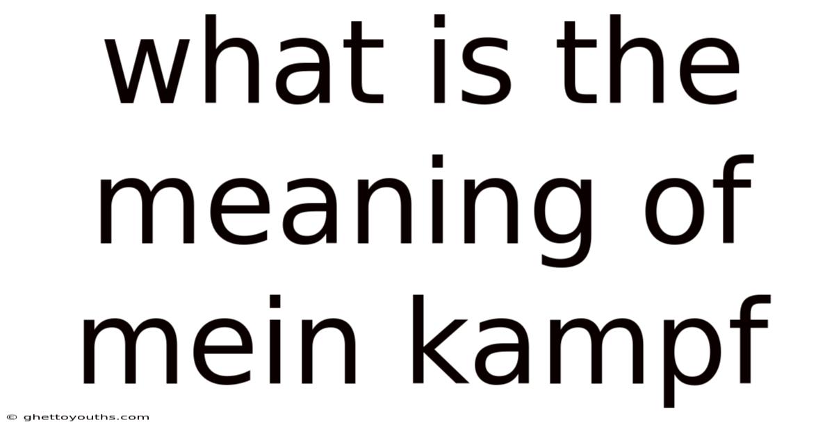What Is The Meaning Of Mein Kampf