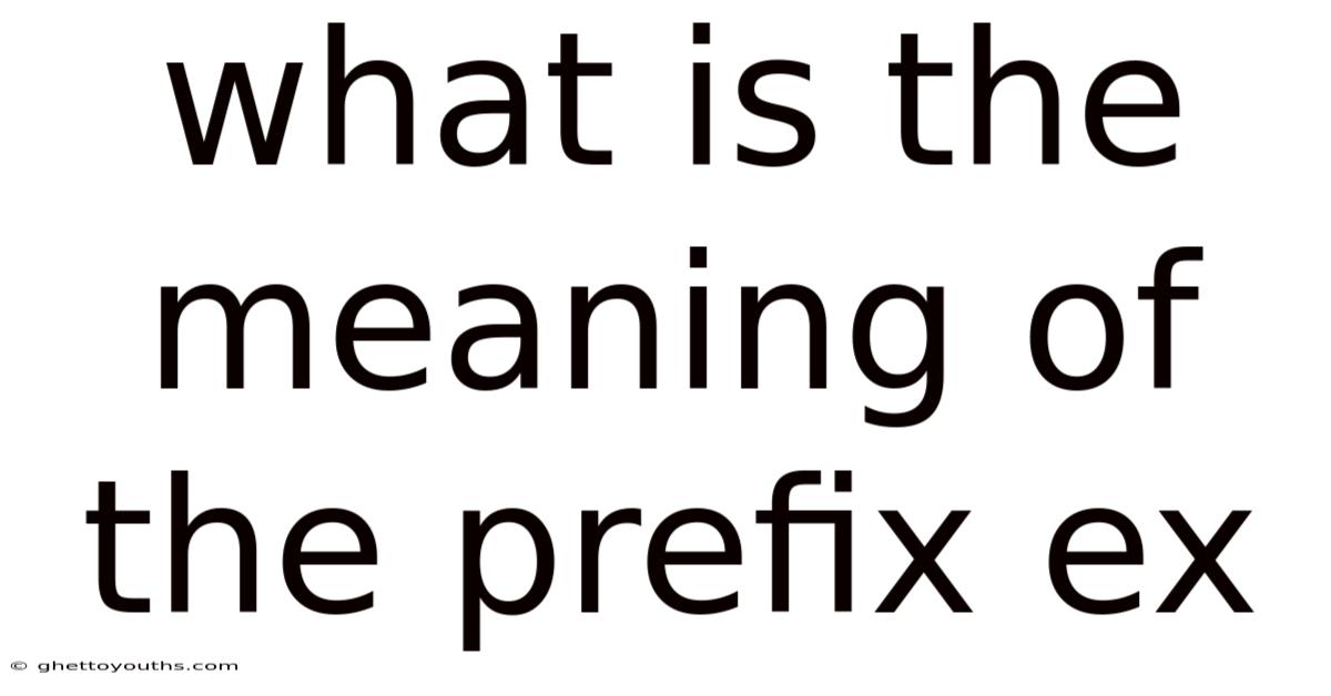 What Is The Meaning Of The Prefix Ex
