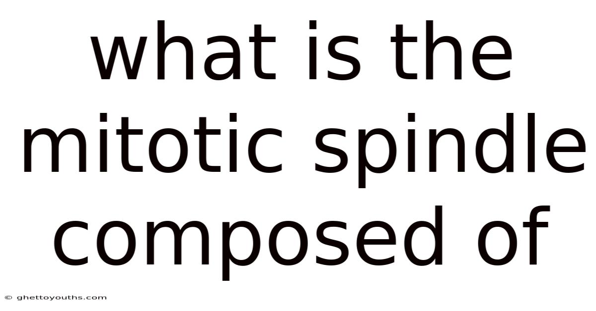 What Is The Mitotic Spindle Composed Of