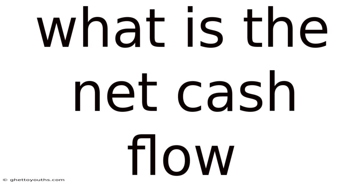 What Is The Net Cash Flow