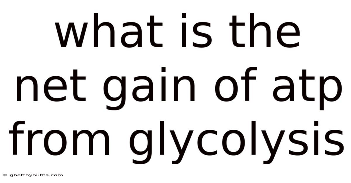 What Is The Net Gain Of Atp From Glycolysis