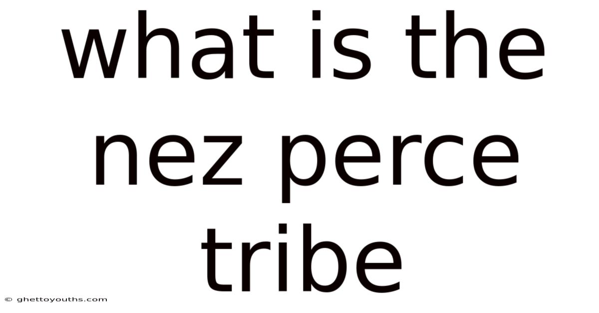 What Is The Nez Perce Tribe