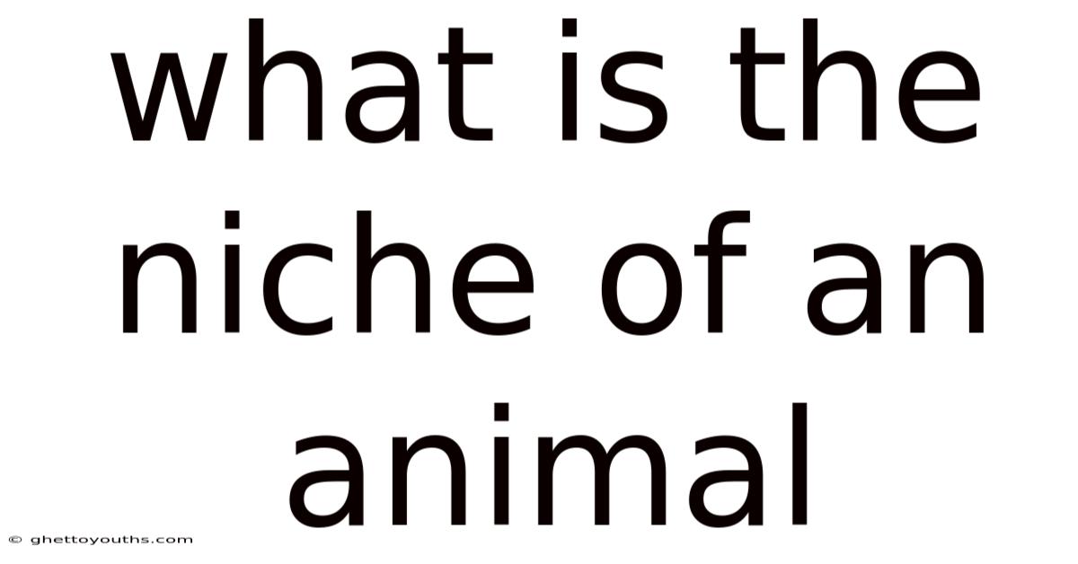 What Is The Niche Of An Animal