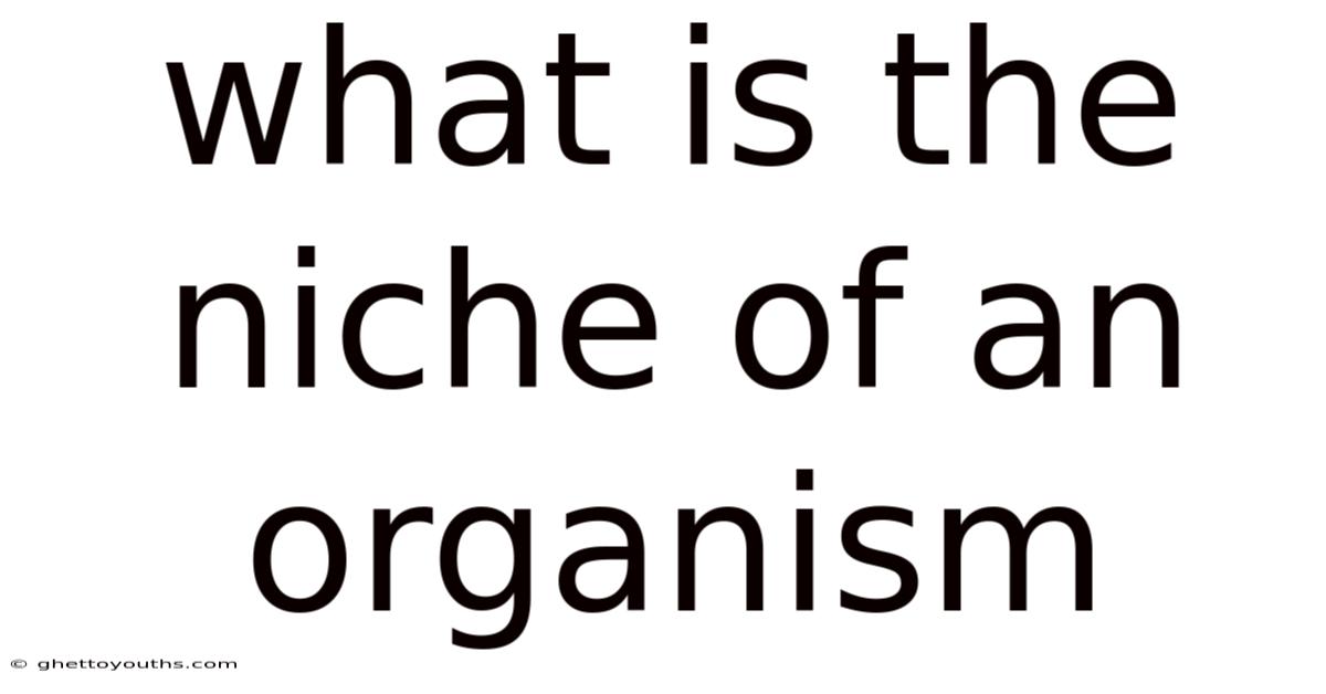What Is The Niche Of An Organism