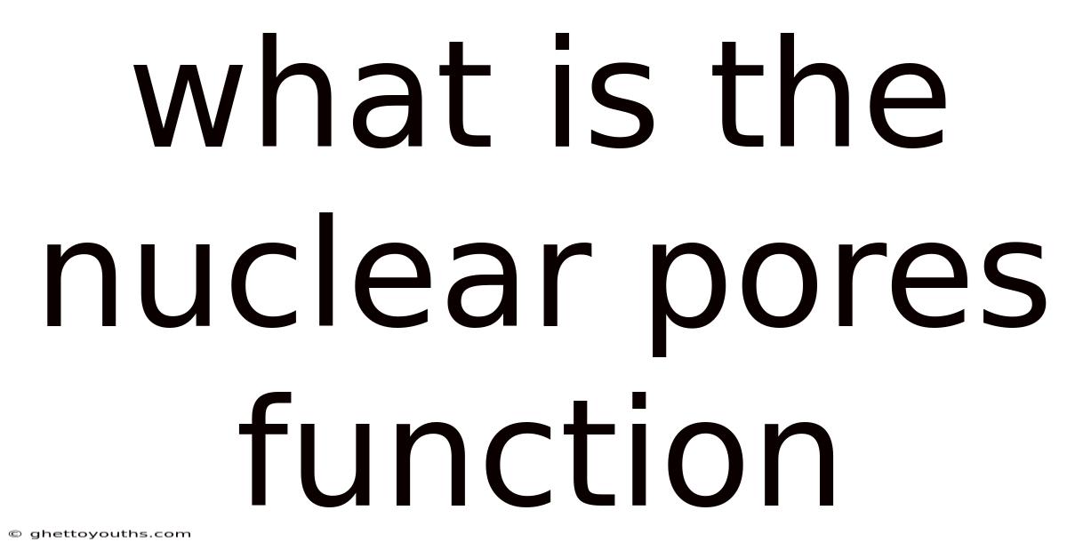 What Is The Nuclear Pores Function
