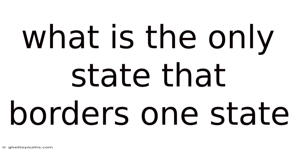 What Is The Only State That Borders One State