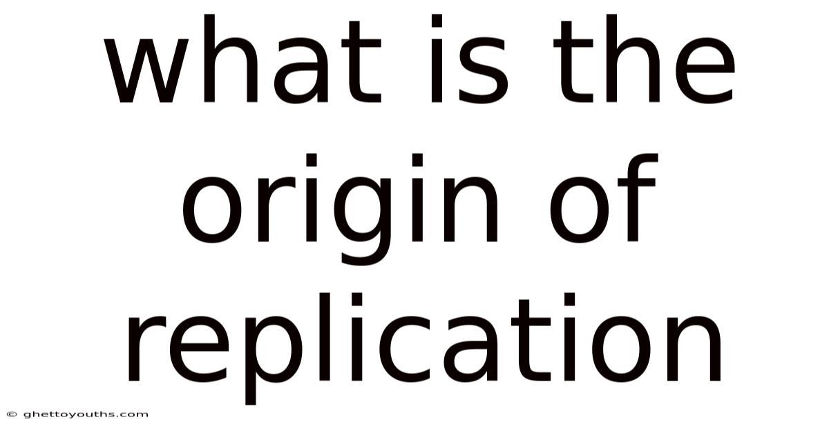 What Is The Origin Of Replication