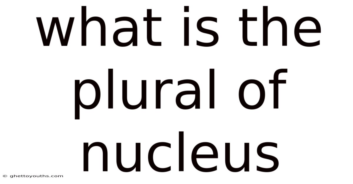 What Is The Plural Of Nucleus