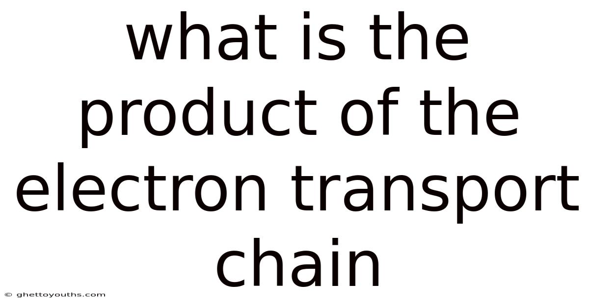 What Is The Product Of The Electron Transport Chain