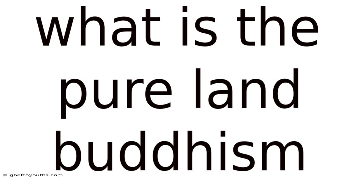 What Is The Pure Land Buddhism