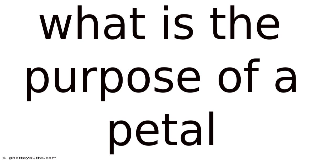 What Is The Purpose Of A Petal