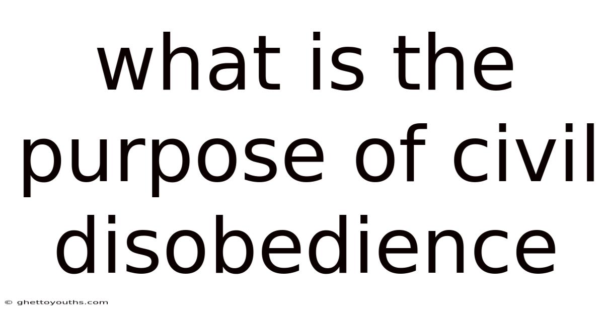 What Is The Purpose Of Civil Disobedience
