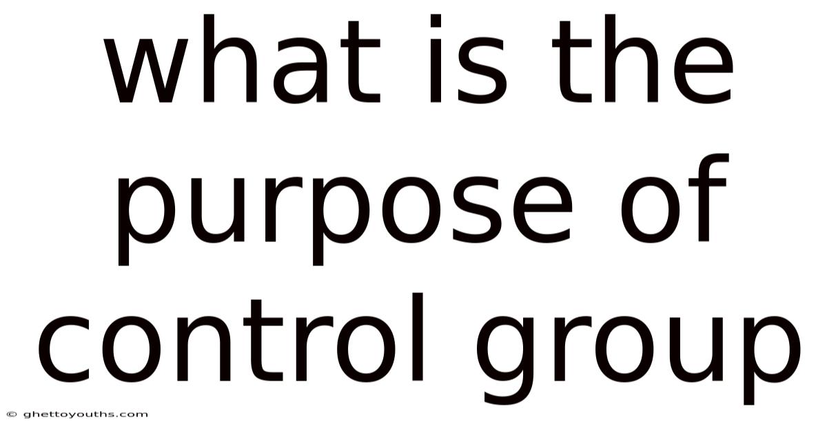 What Is The Purpose Of Control Group