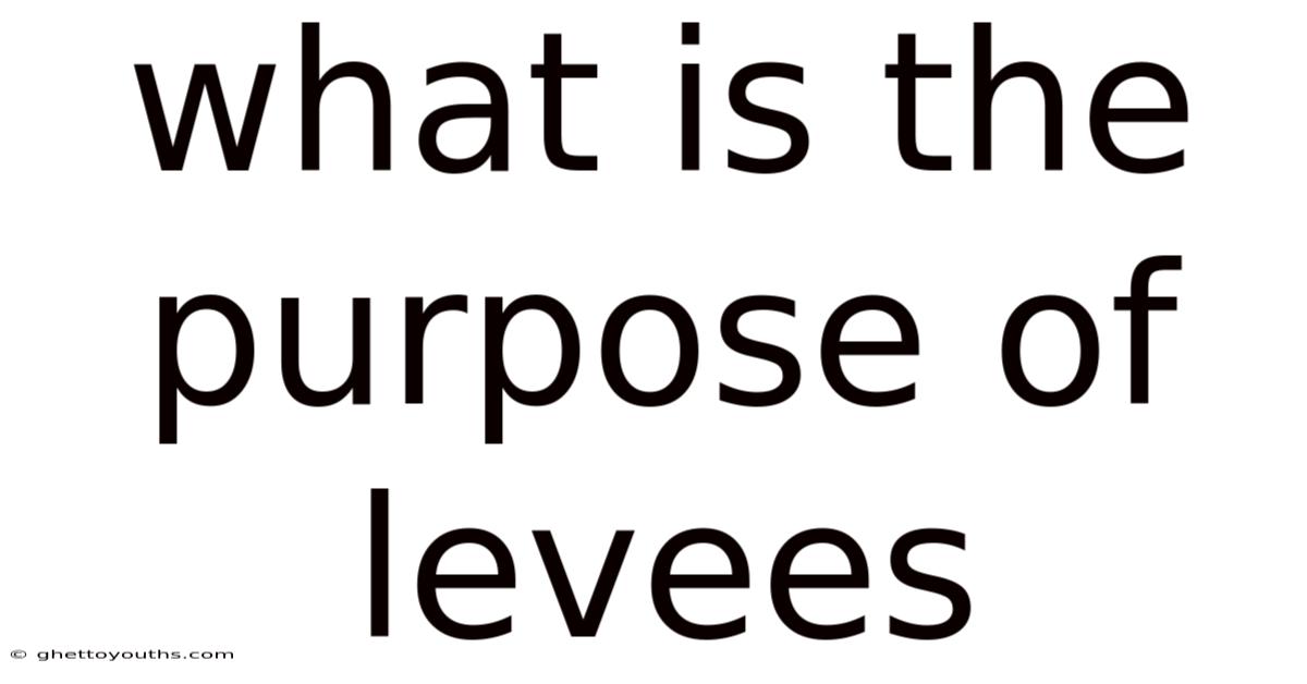 What Is The Purpose Of Levees