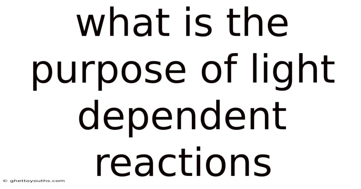 What Is The Purpose Of Light Dependent Reactions