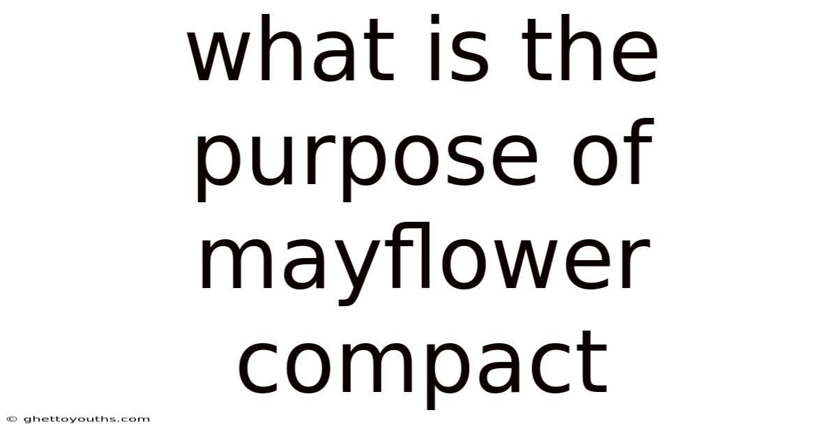 What Is The Purpose Of Mayflower Compact