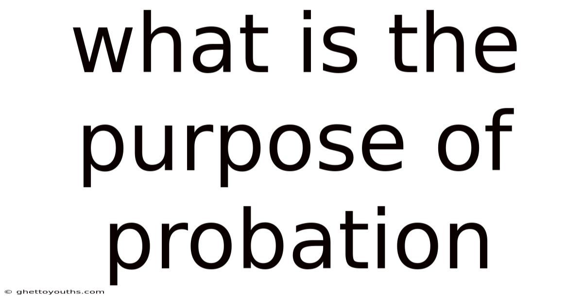 What Is The Purpose Of Probation
