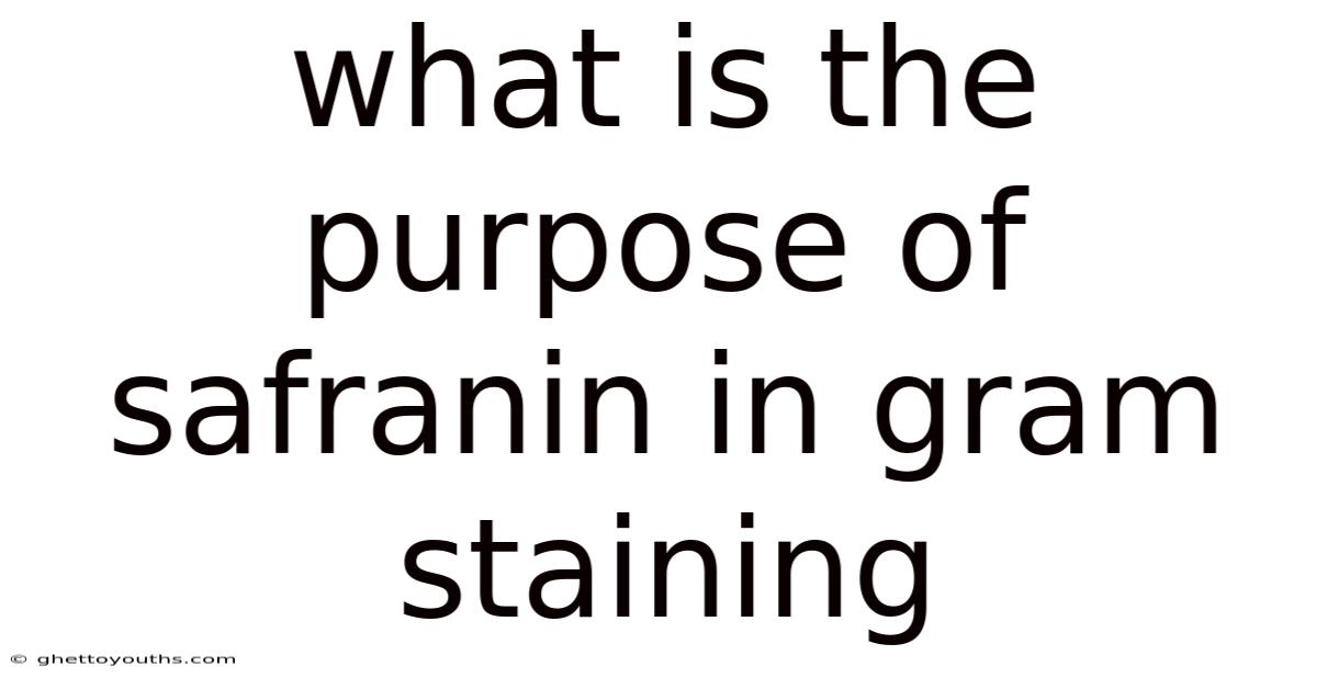 What Is The Purpose Of Safranin In Gram Staining