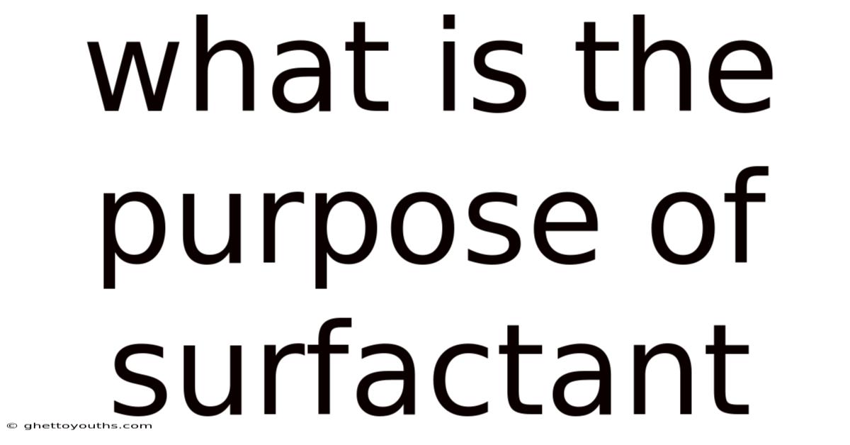 What Is The Purpose Of Surfactant
