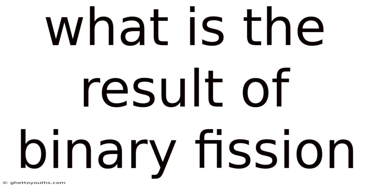 What Is The Result Of Binary Fission