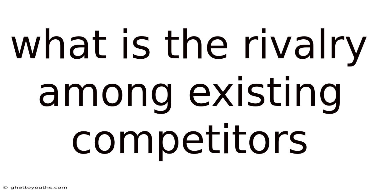 What Is The Rivalry Among Existing Competitors