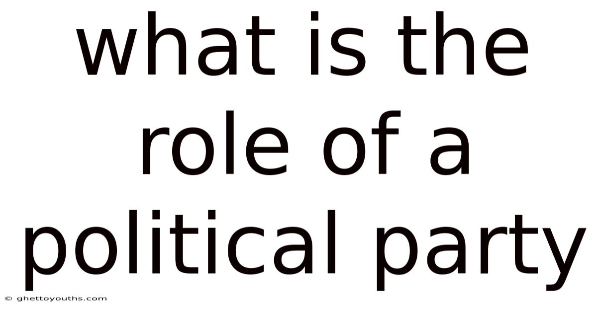 What Is The Role Of A Political Party