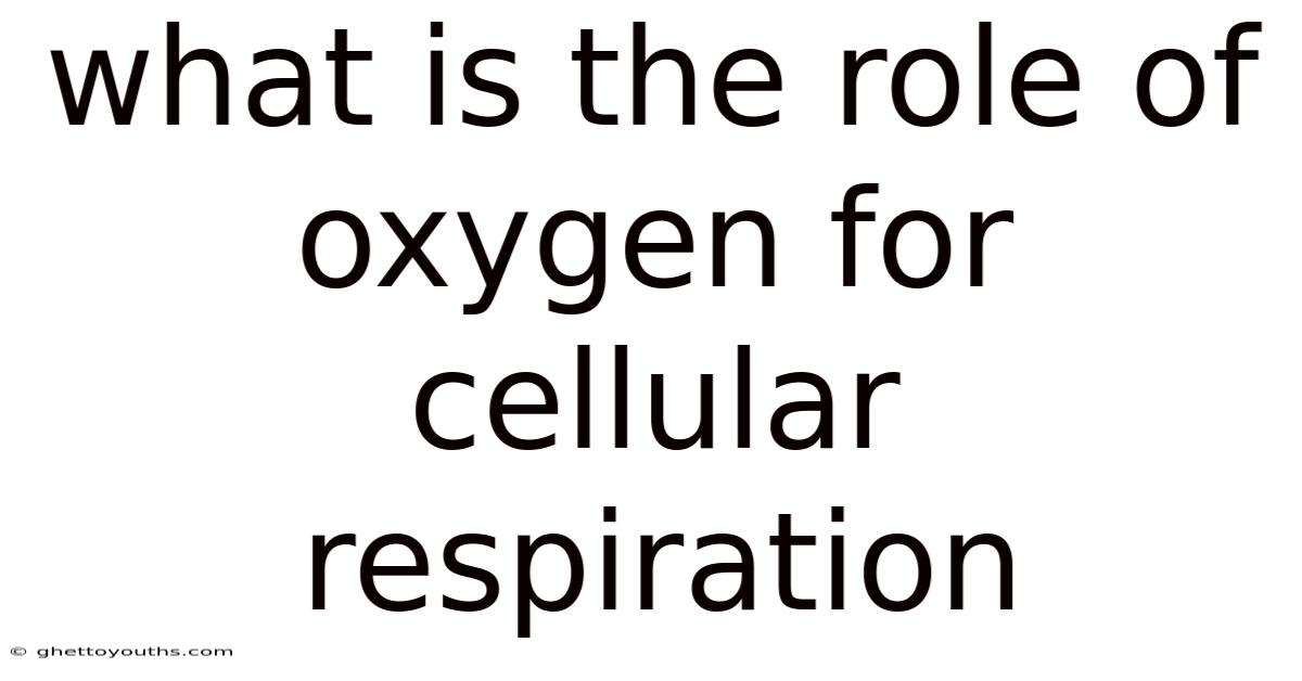 What Is The Role Of Oxygen For Cellular Respiration