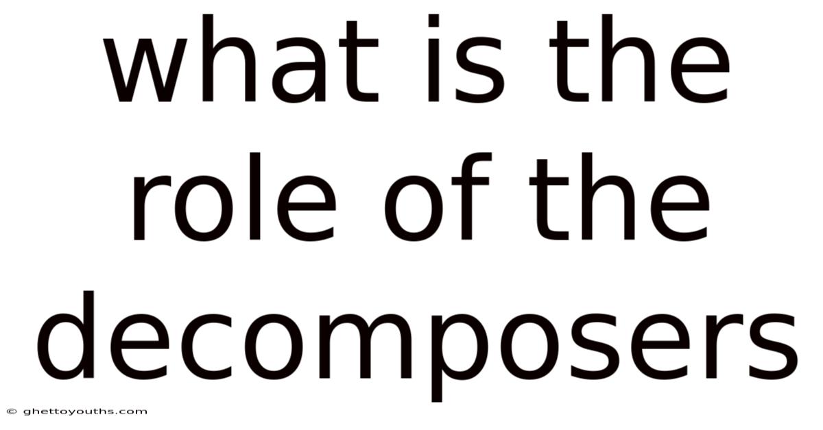 What Is The Role Of The Decomposers