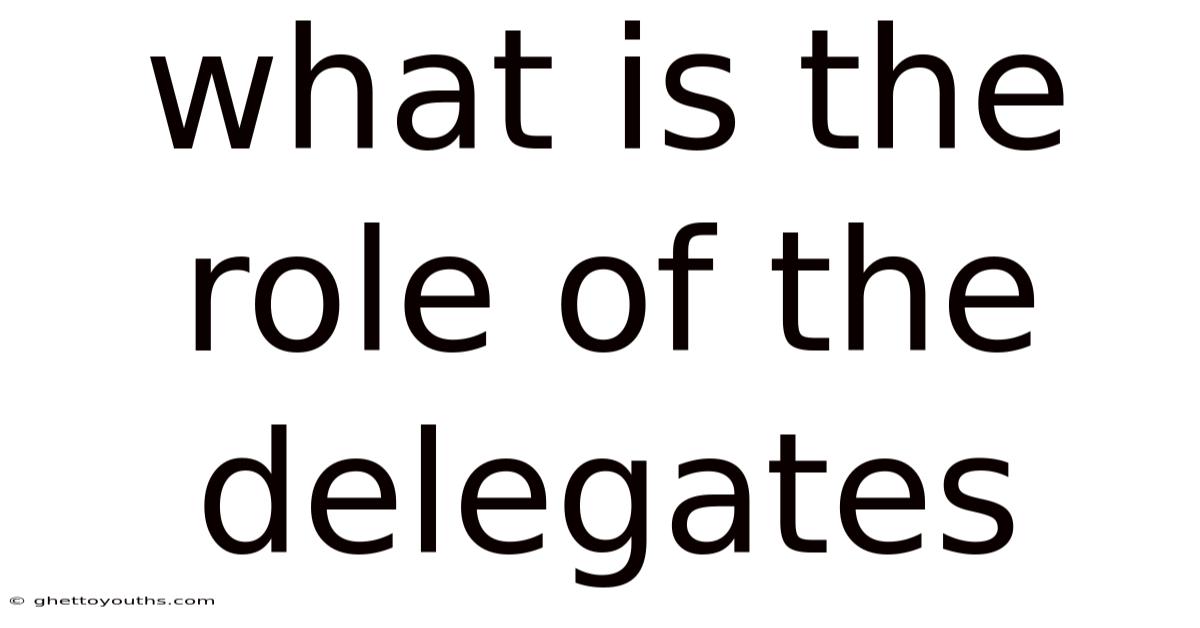 What Is The Role Of The Delegates