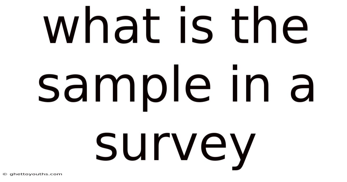 What Is The Sample In A Survey