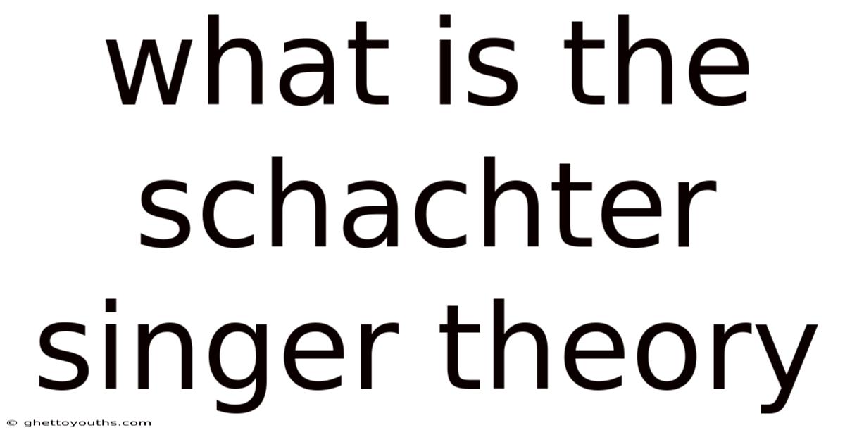 What Is The Schachter Singer Theory
