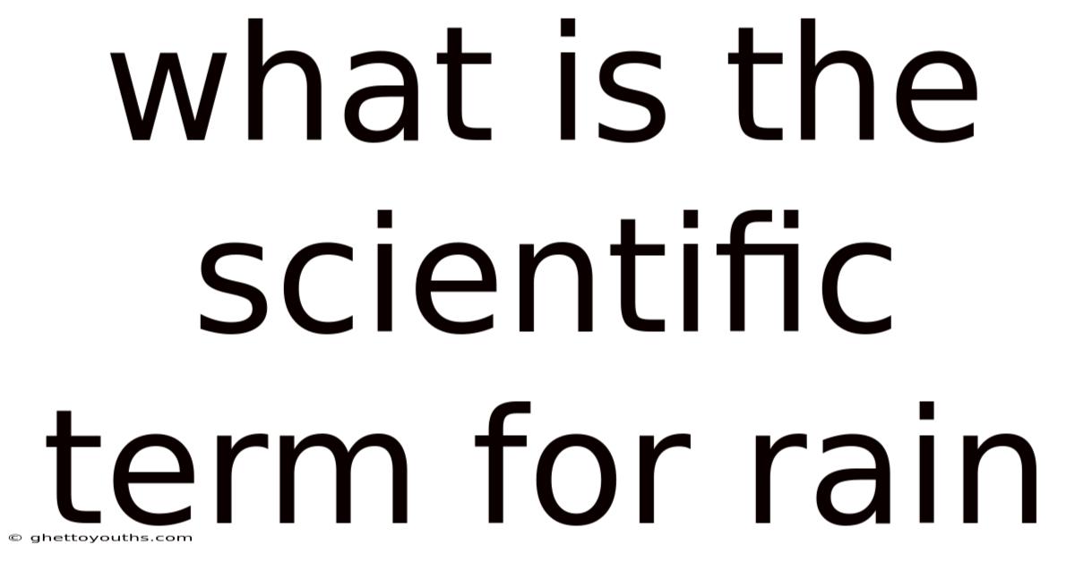 What Is The Scientific Term For Rain