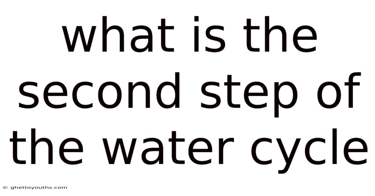What Is The Second Step Of The Water Cycle