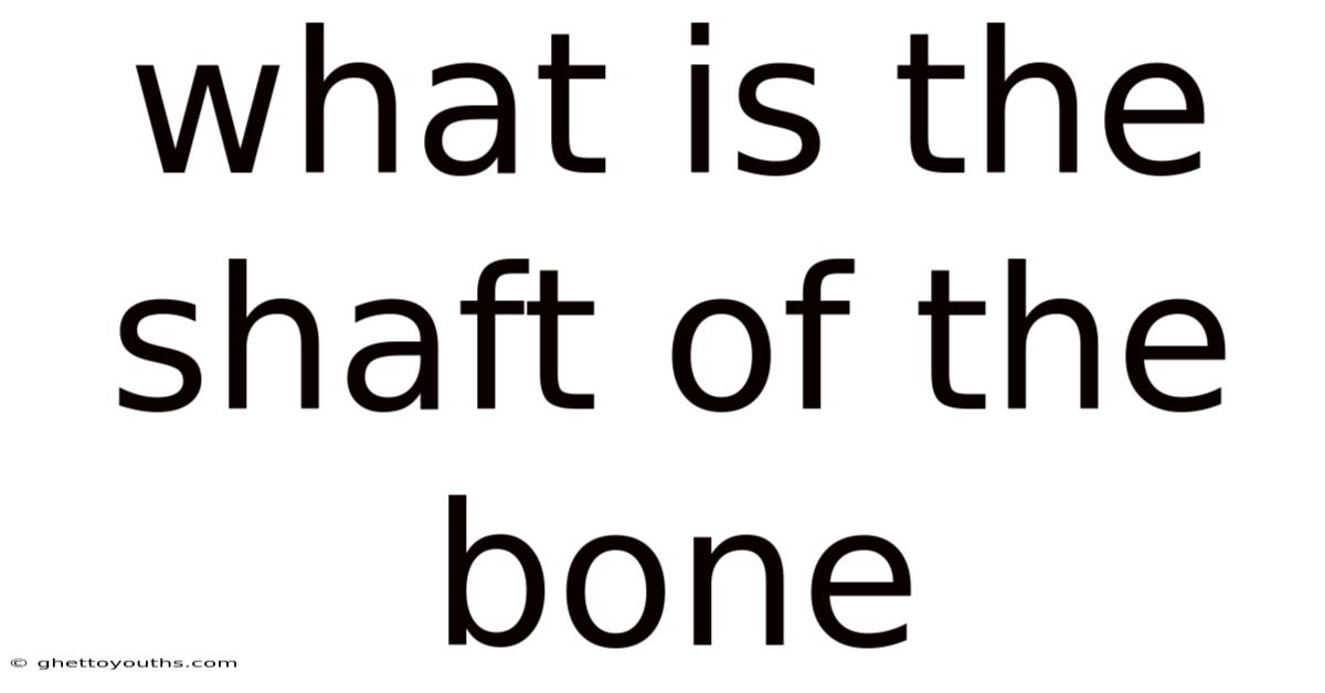 What Is The Shaft Of The Bone