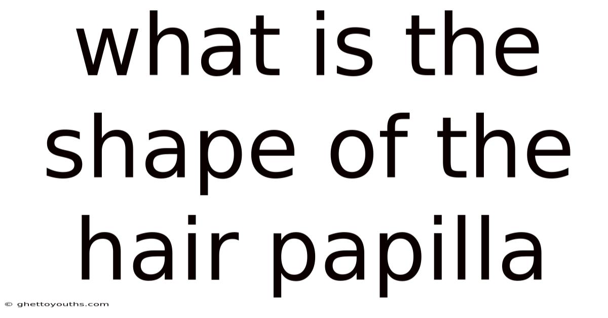What Is The Shape Of The Hair Papilla