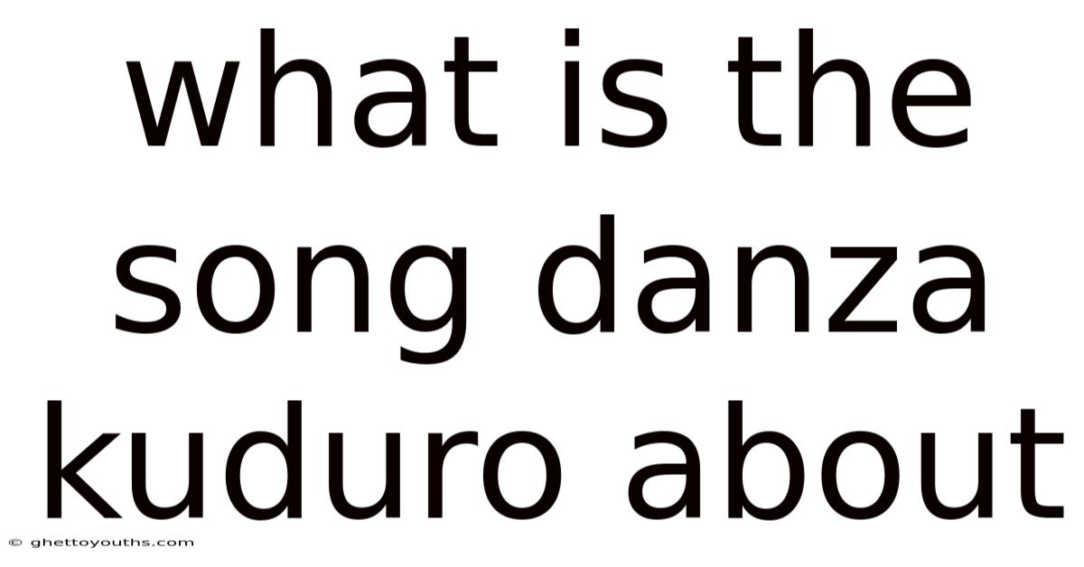 What Is The Song Danza Kuduro About