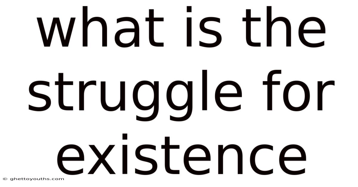 What Is The Struggle For Existence