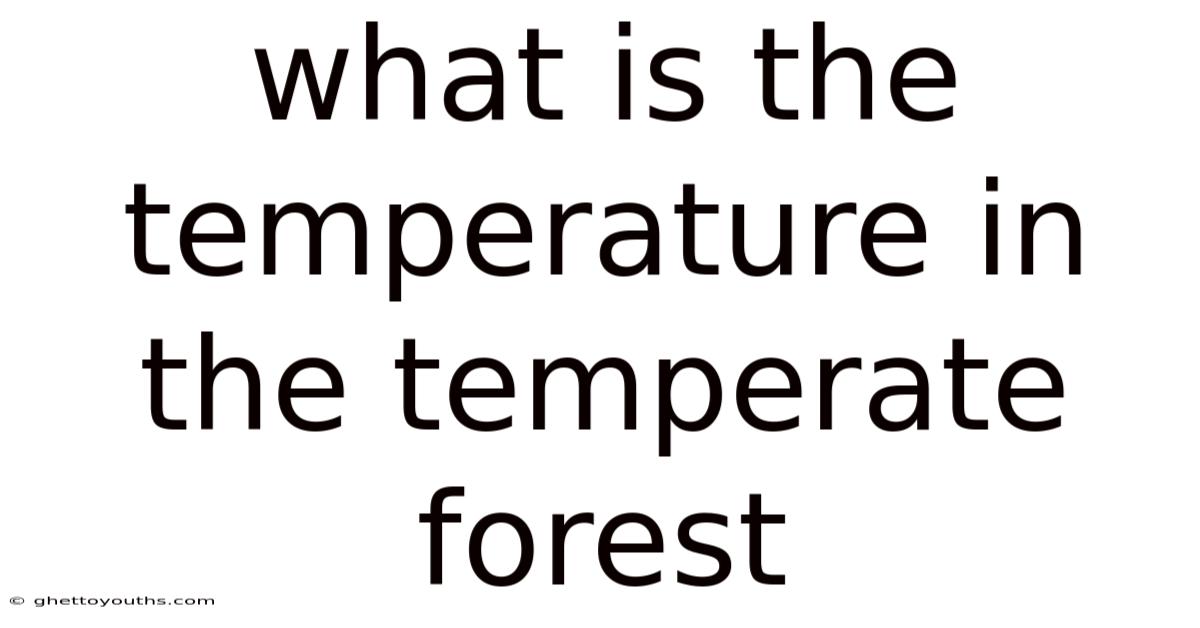 What Is The Temperature In The Temperate Forest